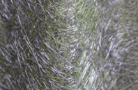 Bryn Y Maen fibreglass roof work